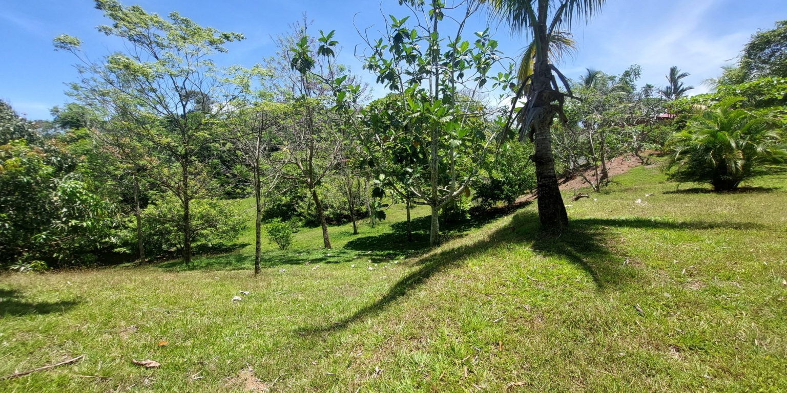 Stunning Ocean View Sanctuary Home with Cabina, Pool & Acreage in Chontales Costa Rica