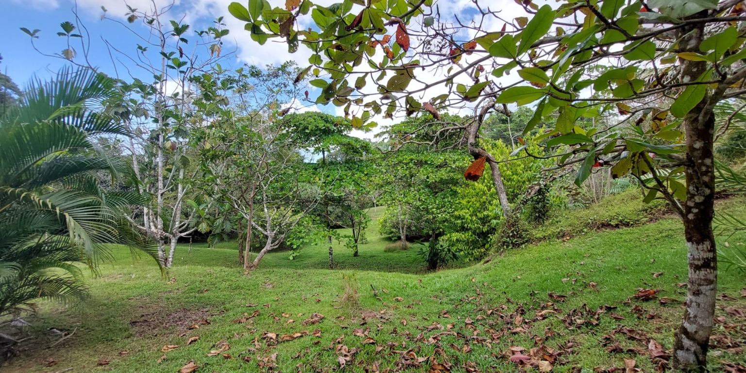 Stunning Ocean View Sanctuary Home with Cabina, Pool & Acreage in Chontales Costa Rica