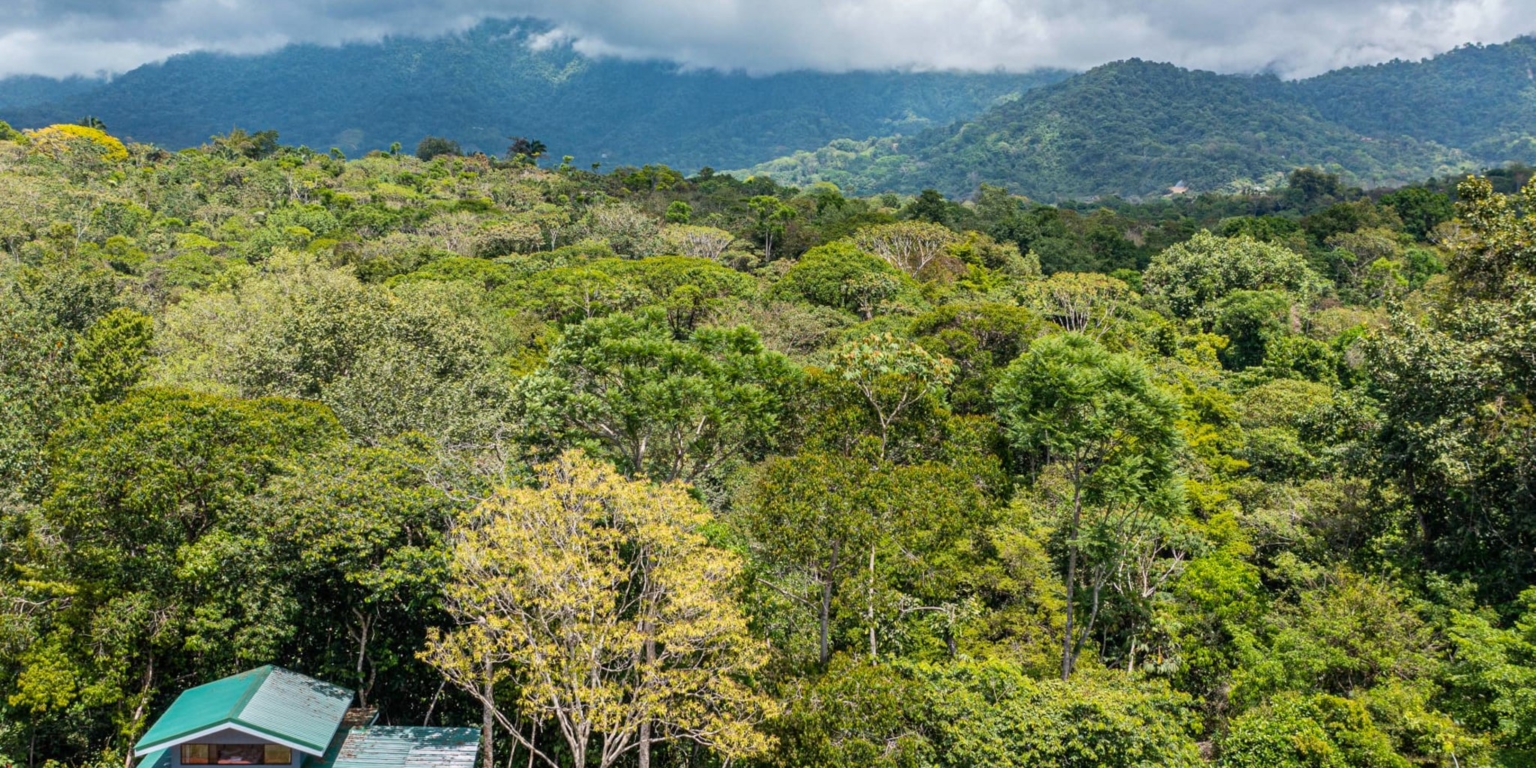 Loft Home with 1-bedroom Perfect for a Couple or an Airbnb Rental with Huge Jungle Backyard with a Year-Round River with Magical Swimming Holes in Ojochal Costa Rica Loft Home with 1-bedroom Perfect for a Couple or an Airbnb Rental with Huge Jungle Backyard with a Year-Round River with Magical Swimming Holes in Ojochal Costa Rica