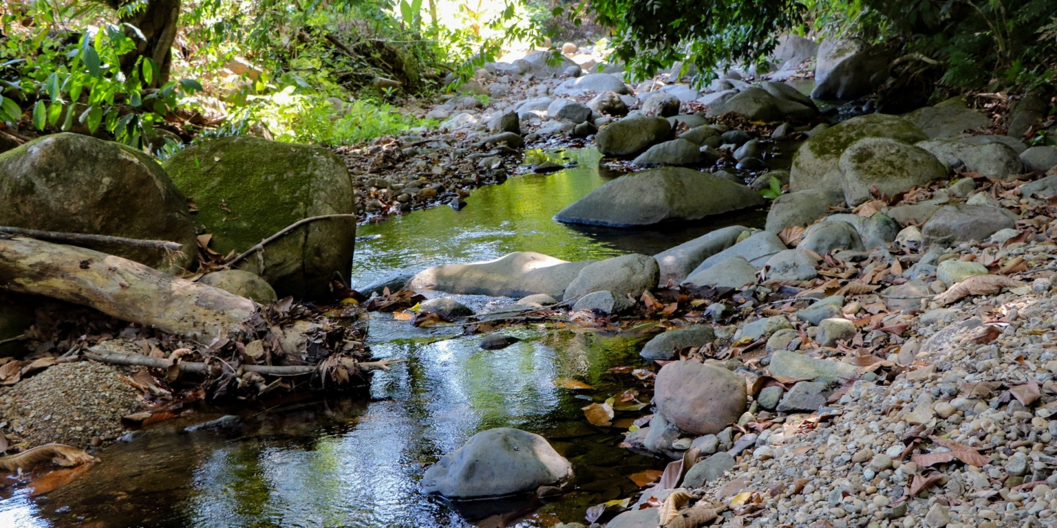 Large Jungle-Clad Land with Mountain Views, Internal Creek & River Frontage in Ojochal Costa Rica
