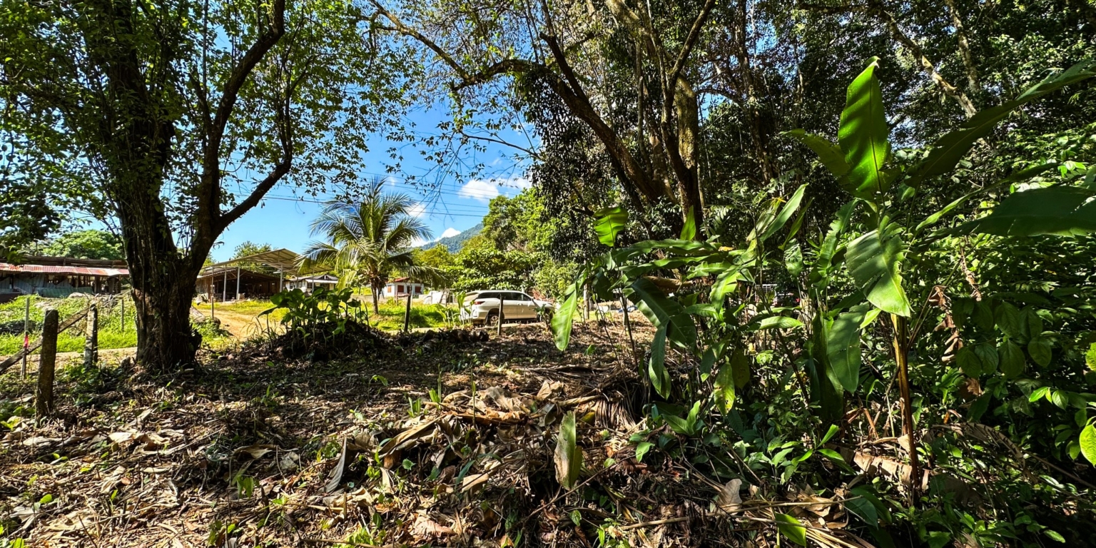 Large Jungle-Clad Land with Mountain Views, Internal Creek & River Frontage in Ojochal Costa Rica