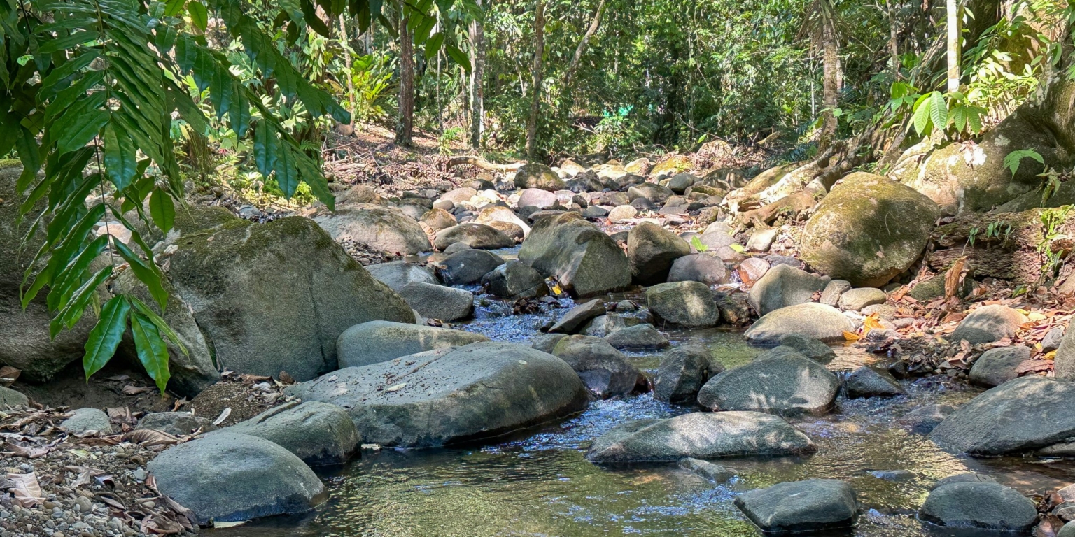 Large Jungle-Clad Land with Mountain Views, Internal Creek & River Frontage in Ojochal Costa Rica