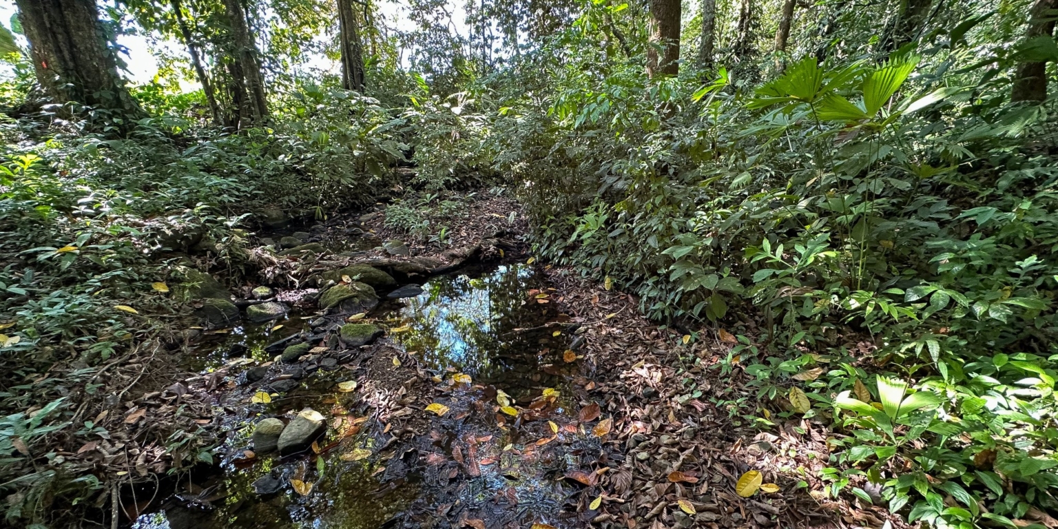 Large Jungle-Clad Land with Mountain Views, Internal Creek & River Frontage in Ojochal Costa Rica