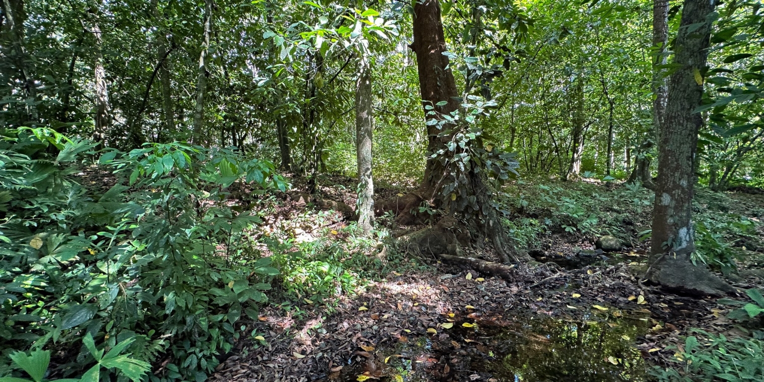 Large Jungle-Clad Land with Mountain Views, Internal Creek & River Frontage in Ojochal Costa Rica