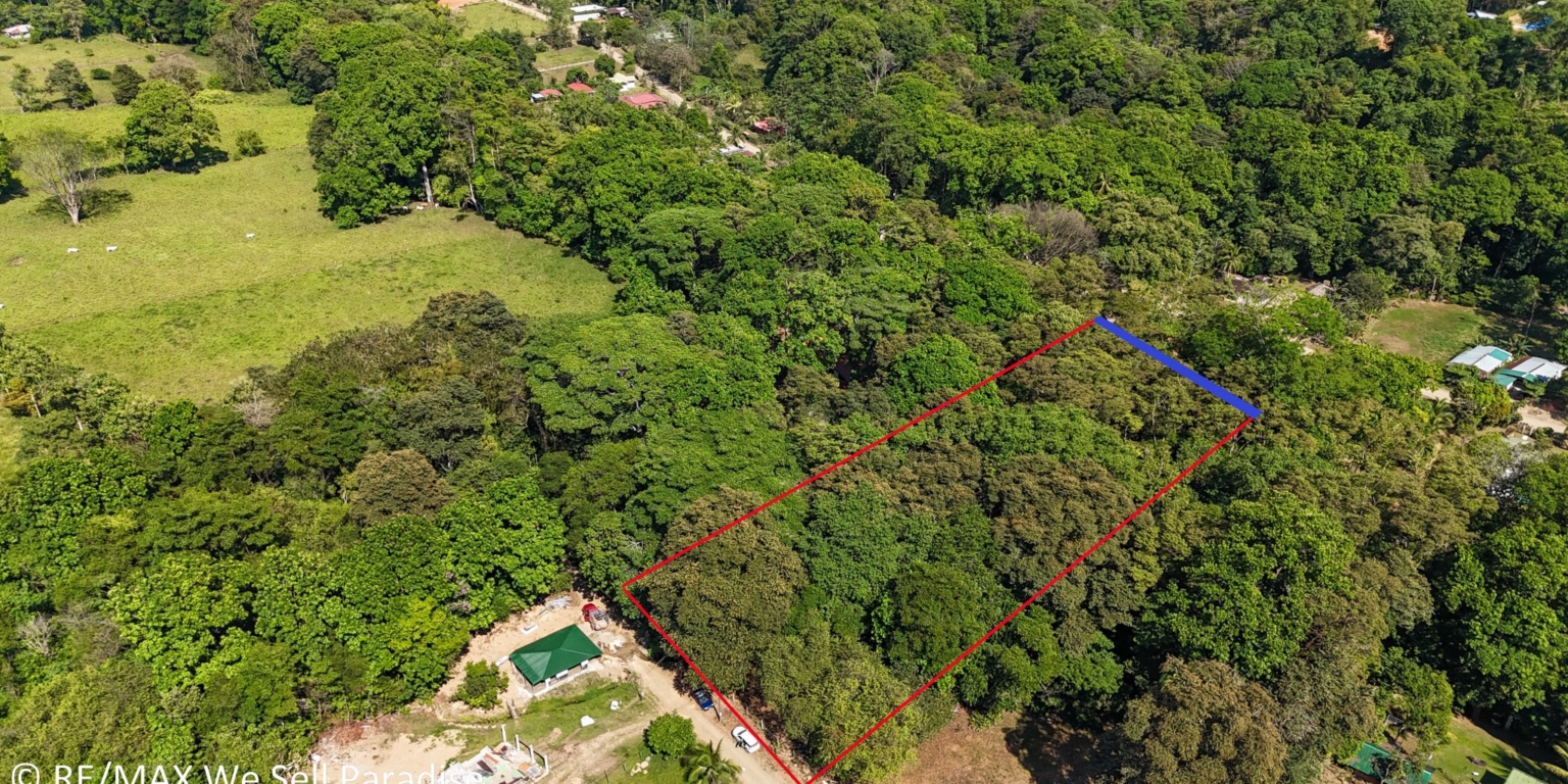 Large Jungle-Clad Land with Mountain Views, Internal Creek & River Frontage in Ojochal Costa Rica