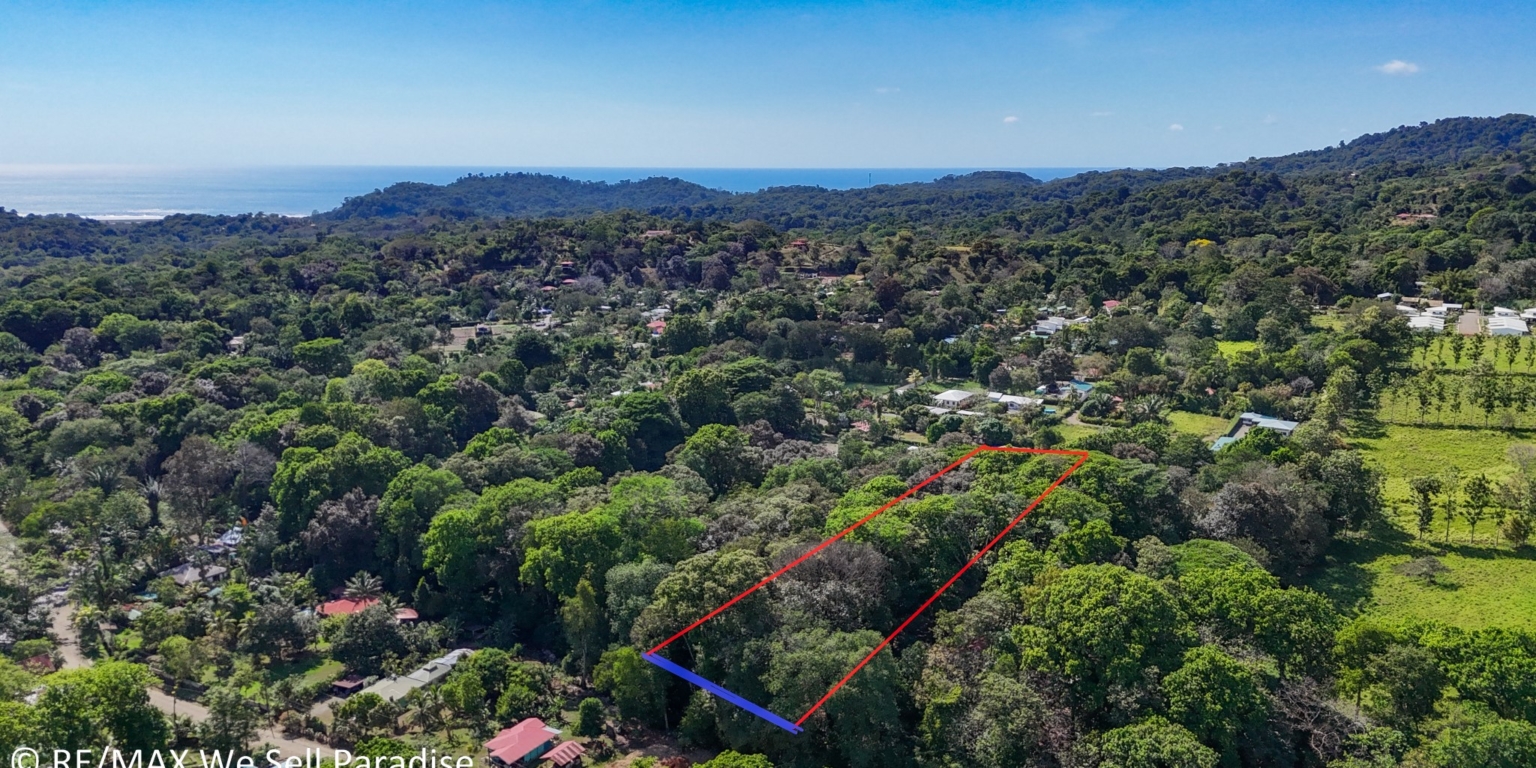 Large Jungle-Clad Land with Mountain Views, Internal Creek & River Frontage in Ojochal Costa Rica