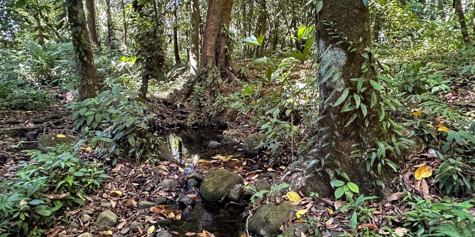 Large Jungle-Clad Land with Mountain Views, Internal Creek & River Frontage in Ojochal Costa Rica