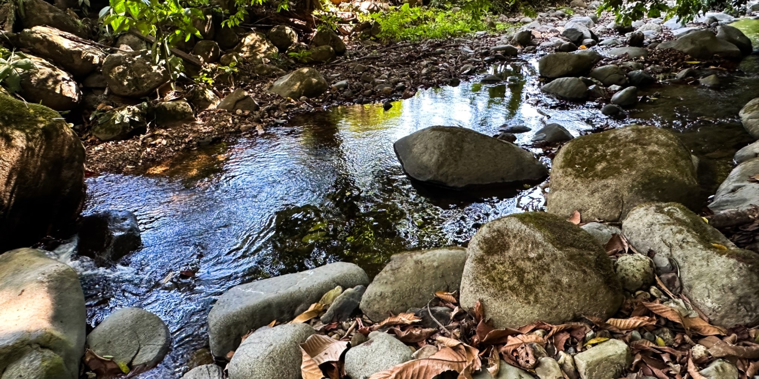 Large Jungle-Clad Land with Mountain Views, Internal Creek & River Frontage in Ojochal Costa Rica