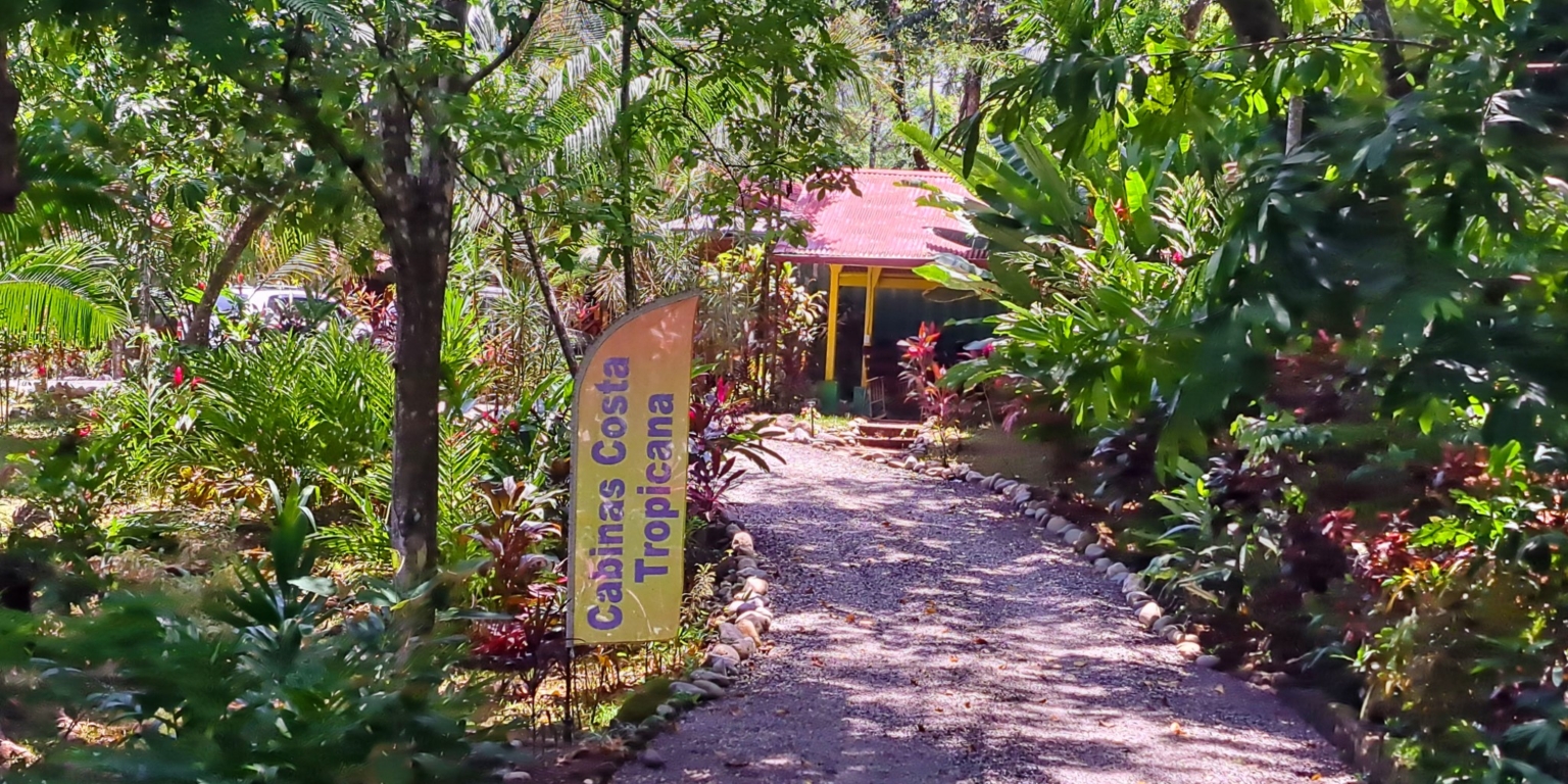 Turnkey Investment Opportunity with 8 Cabinas & Swimming Pool on Lush Jungle Property in Uvita Costa Rica