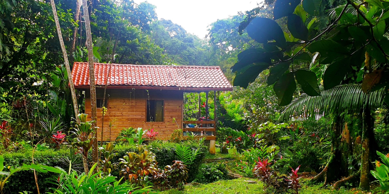 Turnkey Investment Opportunity with 8 Cabinas & Swimming Pool on Lush Jungle Property in Uvita Costa Rica