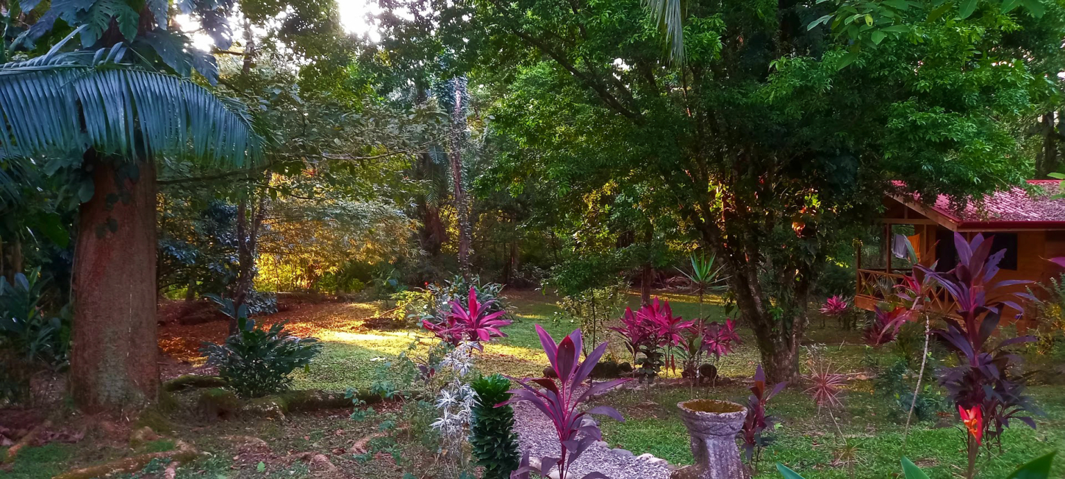 Turnkey Investment Opportunity with 8 Cabinas & Swimming Pool on Lush Jungle Property in Uvita Costa Rica