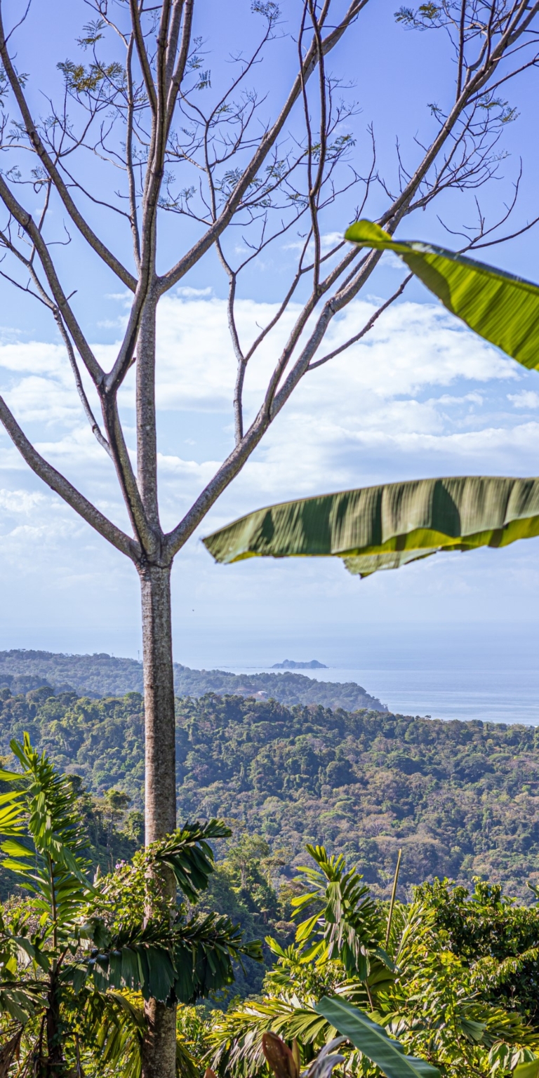 Dramatic Whale’s Tail Ocean View 2-Bedroom Home with Guesthouse in Uvita Costa Rica Dramatic Whale’s Tail Ocean View 2-Bedroom Home with Guesthouse in Uvita Costa Rica