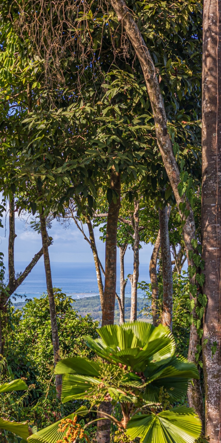 Dramatic Whale’s Tail Ocean View 2-Bedroom Home with Guesthouse in Uvita Costa Rica Dramatic Whale’s Tail Ocean View 2-Bedroom Home with Guesthouse in Uvita Costa Rica