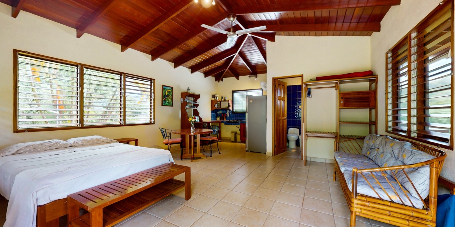 Cozy 1-Bedroom Home with Attached Studio Apartment Plus Acreage in Ojochal Costa Rica Cozy 1-Bedroom Home with Attached Studio Apartment Plus Acreage in Ojochal Costa Rica