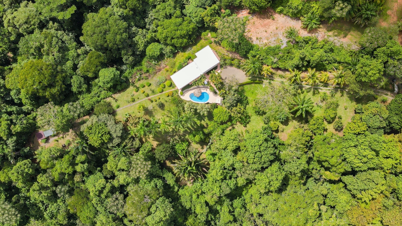 Cozy 1-Bedroom Home with Attached Studio Apartment Plus Acreage in Ojochal Costa Rica Cozy 1-Bedroom Home with Attached Studio Apartment Plus Acreage in Ojochal Costa Rica