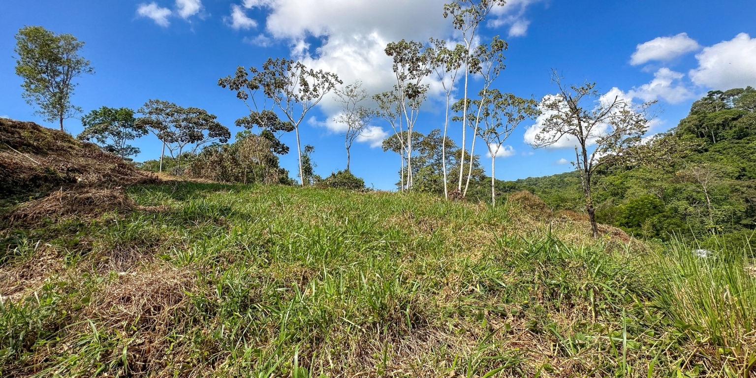 Elevated 1.2 Acre Lot with Two Building Ties with Panoramic Mountain & Jungle Views, Paved-Road Access & Year-Round Mountain River in Tres Rios near Ojochal Costa Rica Elevated 1.2 Acre Lot with Two Building Ties with Panoramic Mountain & Jungle Views, Paved-Road Access & Year-Round Mountain River in Tres Rios near Ojochal Costa Rica