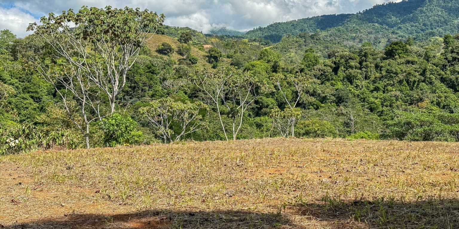 Elevated 1.2 Acre Lot with Two Building Ties with Panoramic Mountain & Jungle Views, Paved-Road Access & Year-Round Mountain River in Tres Rios near Ojochal Costa Rica Elevated 1.2 Acre Lot with Two Building Ties with Panoramic Mountain & Jungle Views, Paved-Road Access & Year-Round Mountain River in Tres Rios near Ojochal Costa Rica