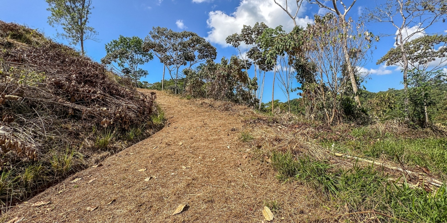 Elevated 1.2 Acre Lot with Two Building Ties with Panoramic Mountain & Jungle Views, Paved-Road Access & Year-Round Mountain River in Tres Rios near Ojochal Costa Rica Elevated 1.2 Acre Lot with Two Building Ties with Panoramic Mountain & Jungle Views, Paved-Road Access & Year-Round Mountain River in Tres Rios near Ojochal Costa Rica