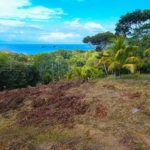 Boutique Resort Development on 14+ Acres with Huge Potential in Ballena near Uvita Costa Rica