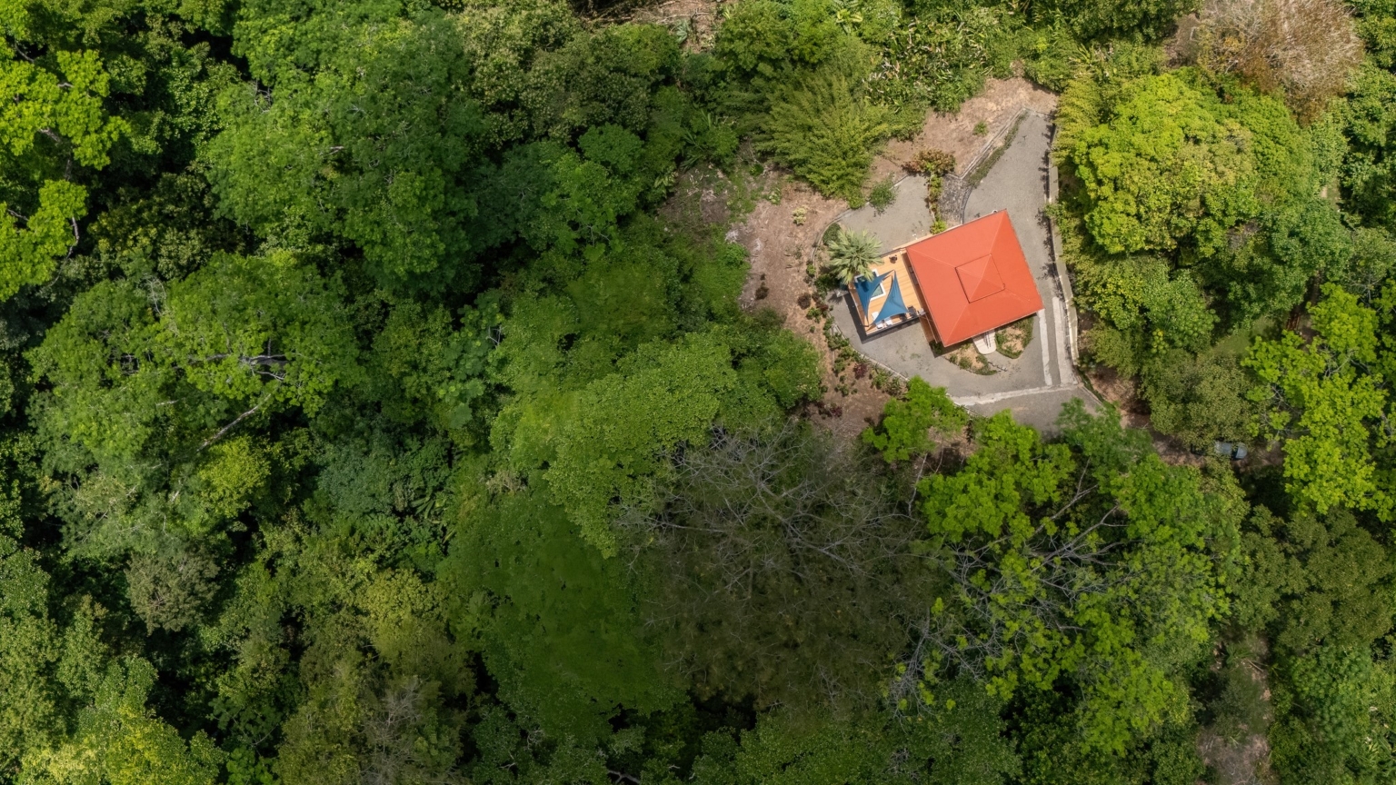 Ocean View 3-Bedroom Home with 2.5 Acres of Nature & Privacy in Bahia Ballena near Uvita Costa Rica Ocean View 3-Bedroom Home with 2.5 Acres of Nature & Privacy in Bahia Ballena near Uvita Costa Rica