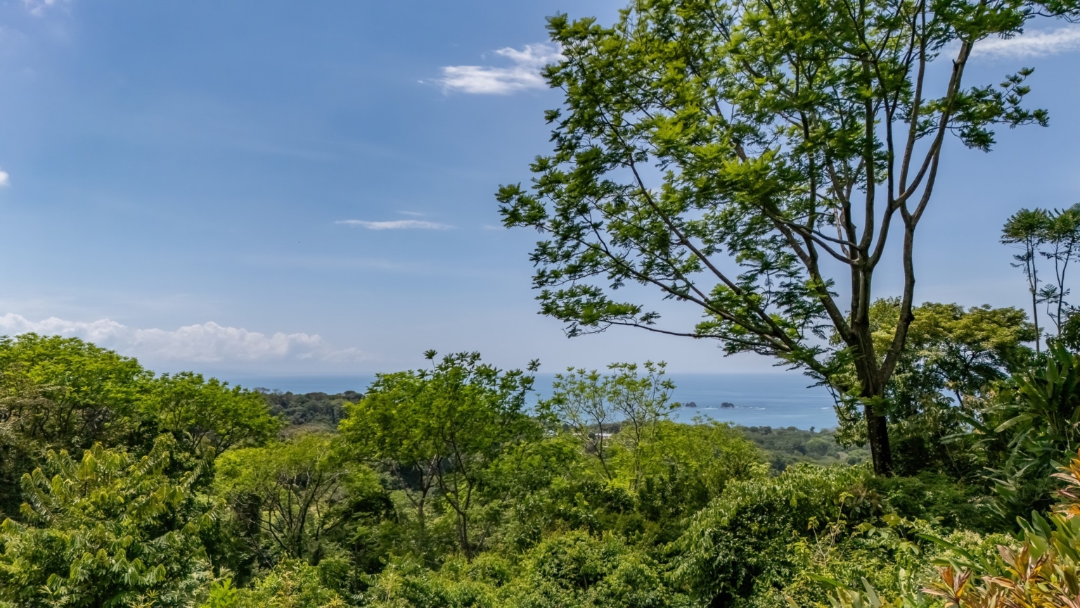 Ocean View 3-Bedroom Home with 2.5 Acres of Nature & Privacy in Bahia Ballena near Uvita Costa Rica Ocean View 3-Bedroom Home with 2.5 Acres of Nature & Privacy in Bahia Ballena near Uvita Costa Rica