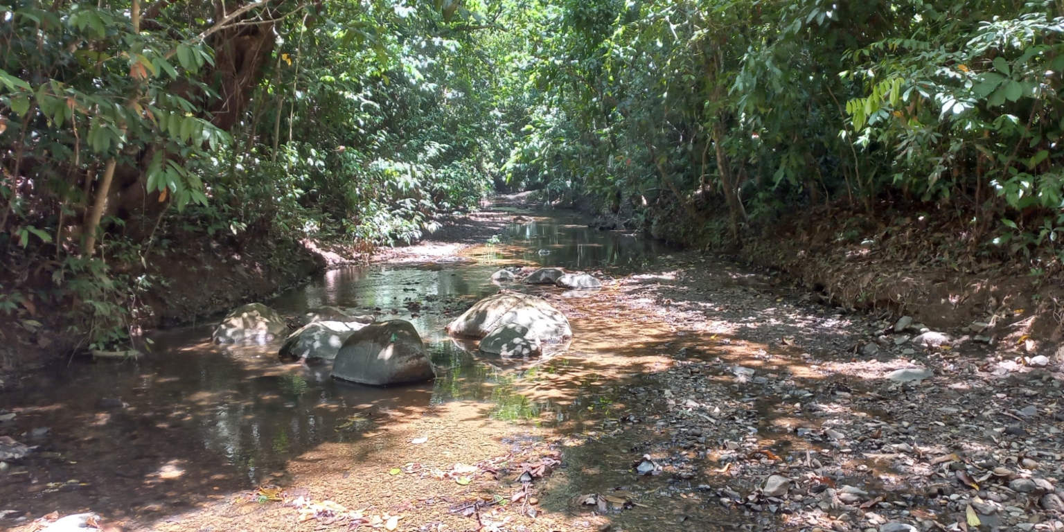 House with 3-Bedrooms & Guest House on Over 4 Acres Backing onto Year-Round River in Ojochal Costa Rica House with 3-Bedrooms & Guest House on Over 4 Acres Backing onto Year-Round River in Ojochal Costa Rica