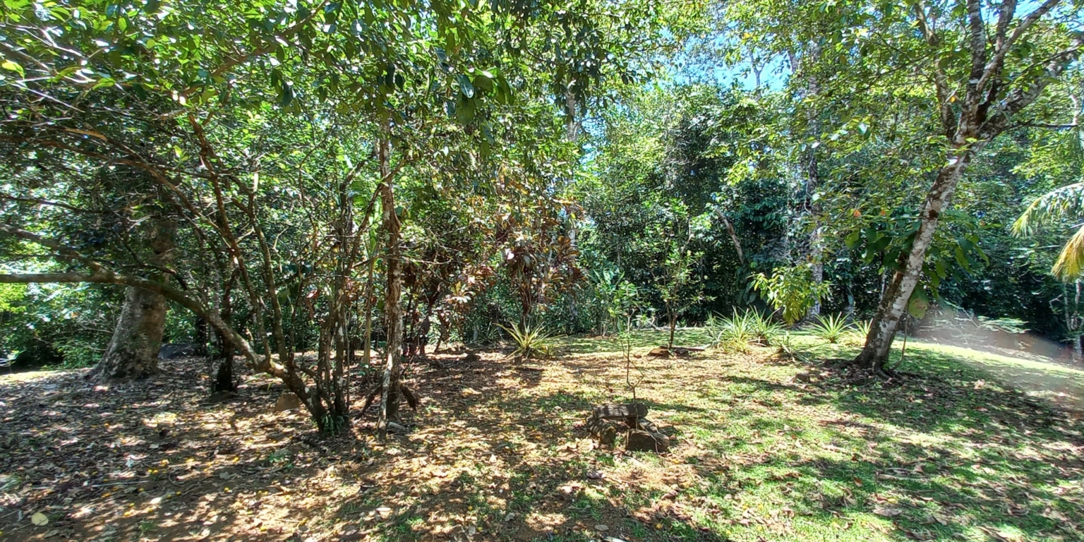 House with 3-Bedrooms & Guest House on Over 4 Acres Backing onto Year-Round River in Ojochal Costa Rica House with 3-Bedrooms & Guest House on Over 4 Acres Backing onto Year-Round River in Ojochal Costa Rica