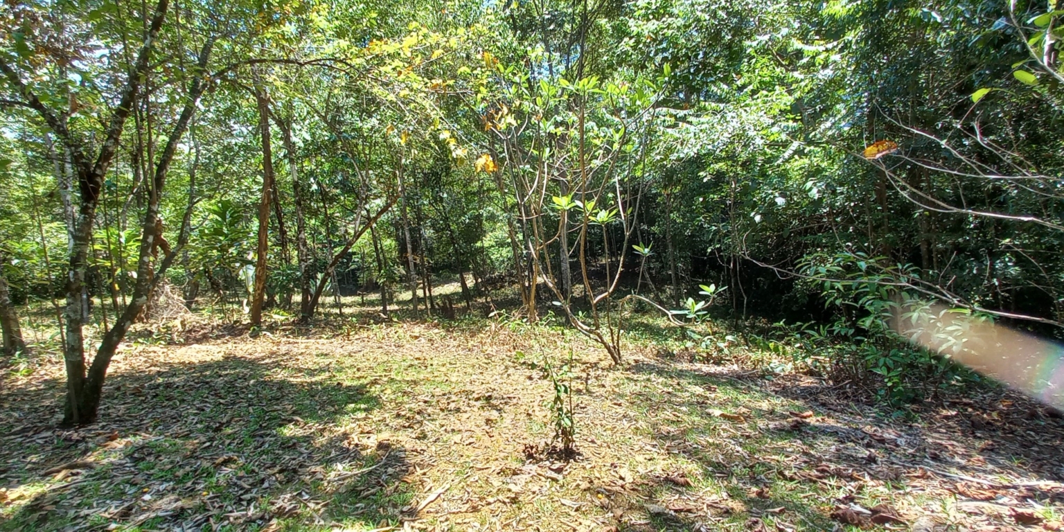 House with 3-Bedrooms & Guest House on Over 4 Acres Backing onto Year-Round River in Ojochal Costa Rica House with 3-Bedrooms & Guest House on Over 4 Acres Backing onto Year-Round River in Ojochal Costa Rica