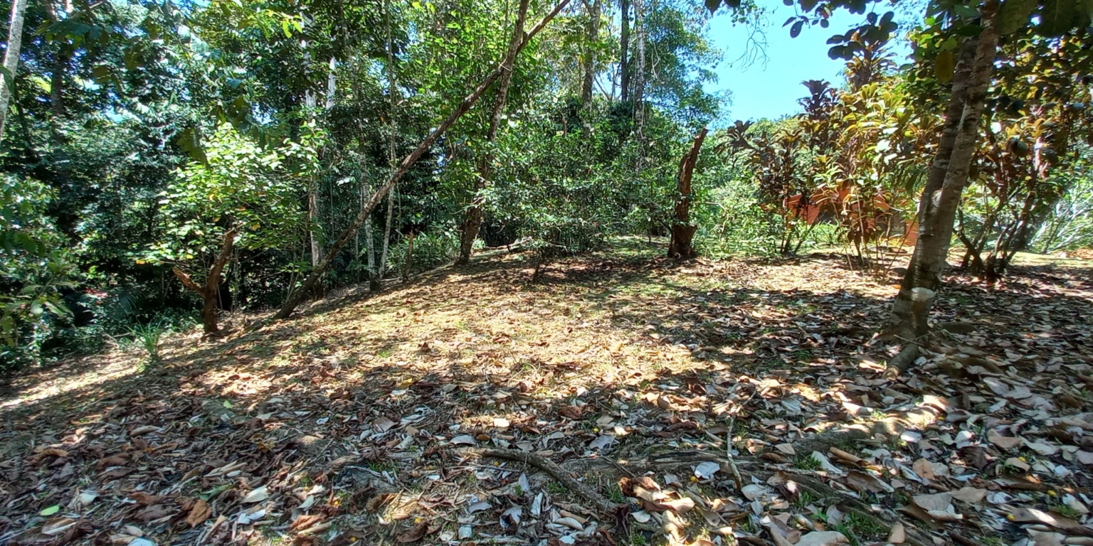 House with 3-Bedrooms & Guest House on Over 4 Acres Backing onto Year-Round River in Ojochal Costa Rica House with 3-Bedrooms & Guest House on Over 4 Acres Backing onto Year-Round River in Ojochal Costa Rica
