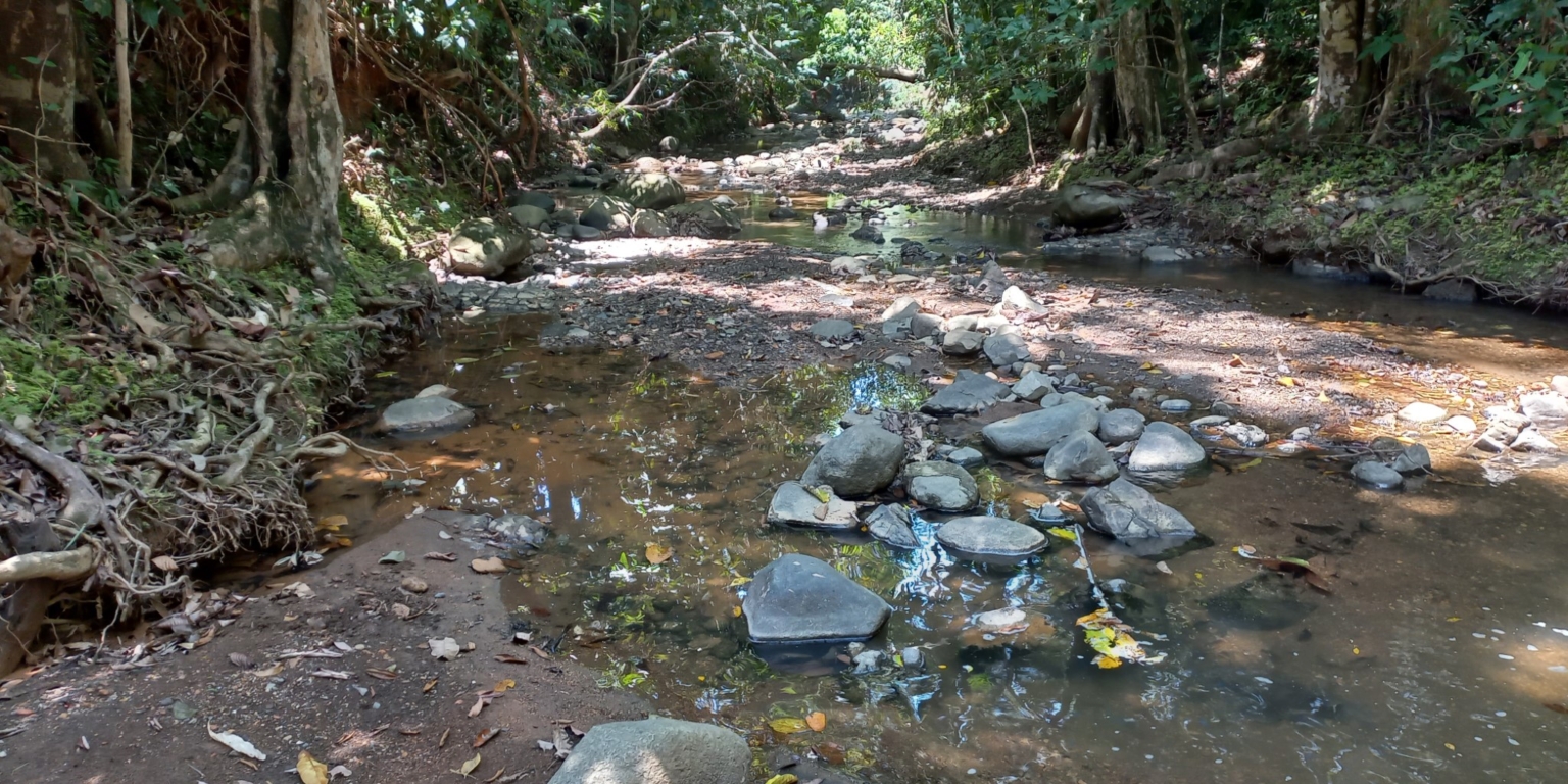 House with 3-Bedrooms & Guest House on Over 4 Acres Backing onto Year-Round River in Ojochal Costa Rica House with 3-Bedrooms & Guest House on Over 4 Acres Backing onto Year-Round River in Ojochal Costa Rica