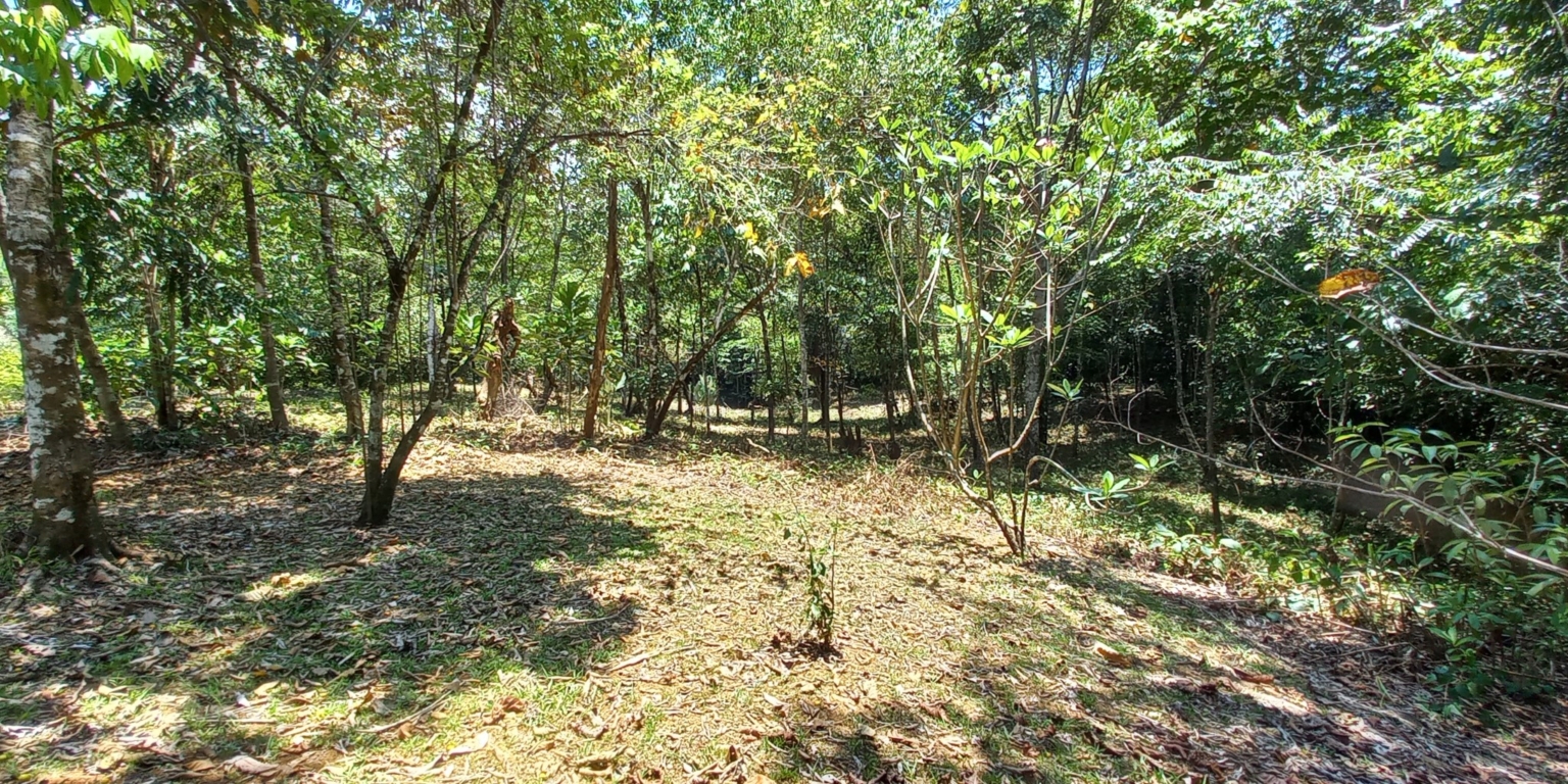 House with 3-Bedrooms & Guest House on Over 4 Acres Backing onto Year-Round River in Ojochal Costa Rica House with 3-Bedrooms & Guest House on Over 4 Acres Backing onto Year-Round River in Ojochal Costa Rica