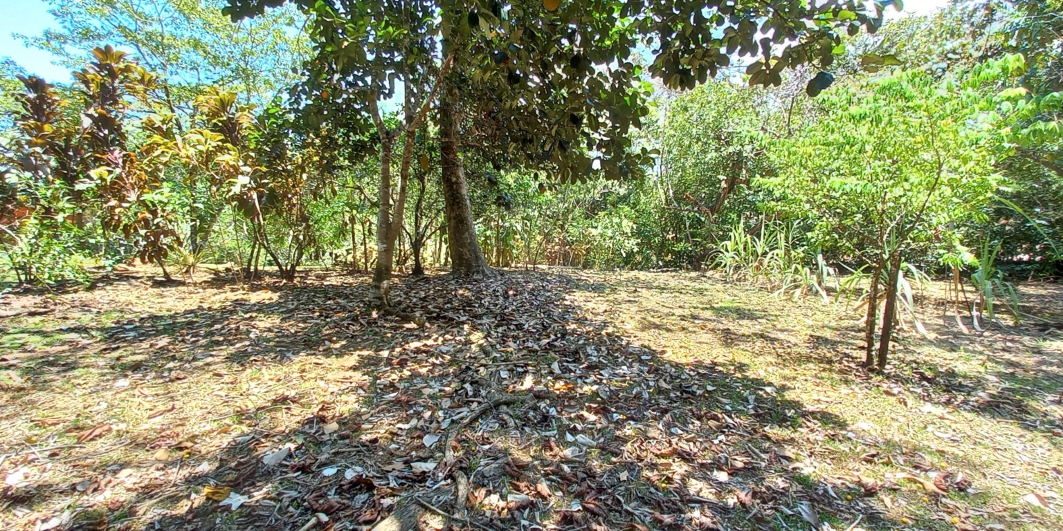 House with 3-Bedrooms & Guest House on Over 4 Acres Backing onto Year-Round River in Ojochal Costa Rica House with 3-Bedrooms & Guest House on Over 4 Acres Backing onto Year-Round River in Ojochal Costa Rica