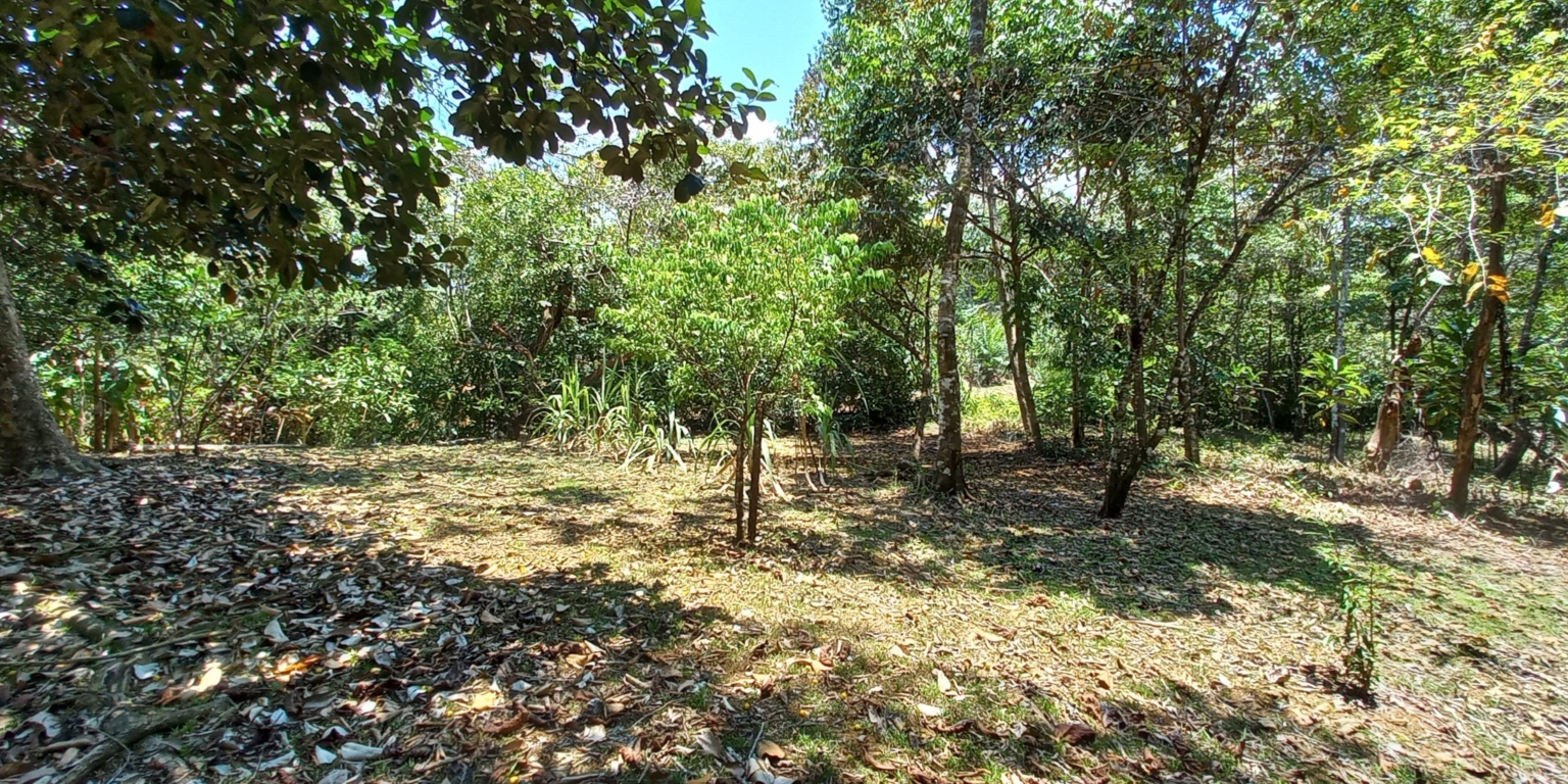 House with 3-Bedrooms & Guest House on Over 4 Acres Backing onto Year-Round River in Ojochal Costa Rica House with 3-Bedrooms & Guest House on Over 4 Acres Backing onto Year-Round River in Ojochal Costa Rica