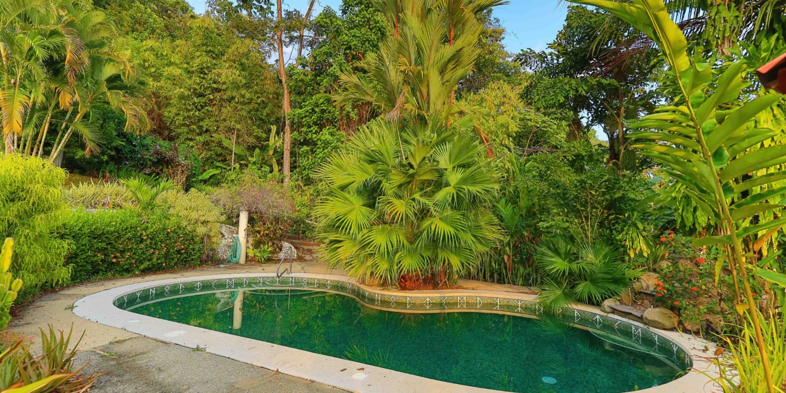 Ocean & Sunset View Home with Pool & Guest House on 6 Acres near Dominical Costa Rica