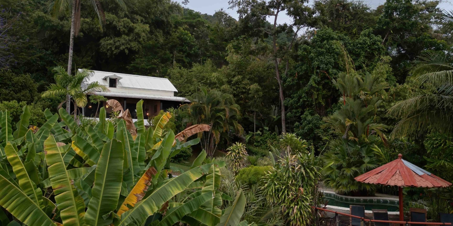 Ocean & Sunset View Home with Pool & Guest House on 6 Acres near Dominical Costa Rica