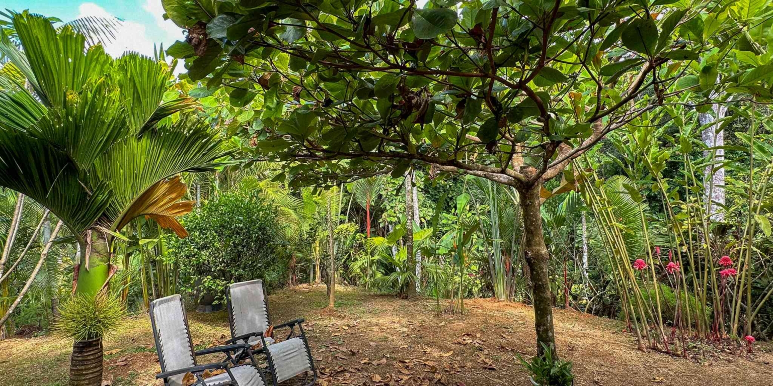 40 (6) Ocean View 3-Bedroom Home with Easy Access and Sparkling Pool in Ojochal Costa Rica