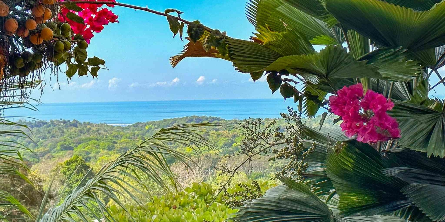 40 (9) Ocean View 3-Bedroom Home with Easy Access and Sparkling Pool in Ojochal Costa Rica