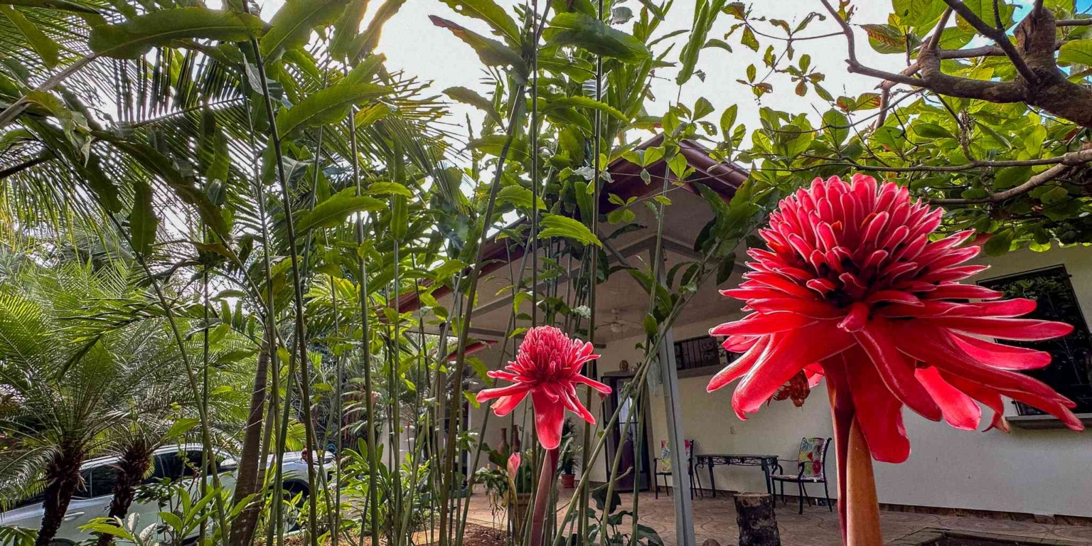 40 (7) Ocean View 3-Bedroom Home with Easy Access and Sparkling Pool in Ojochal Costa Rica