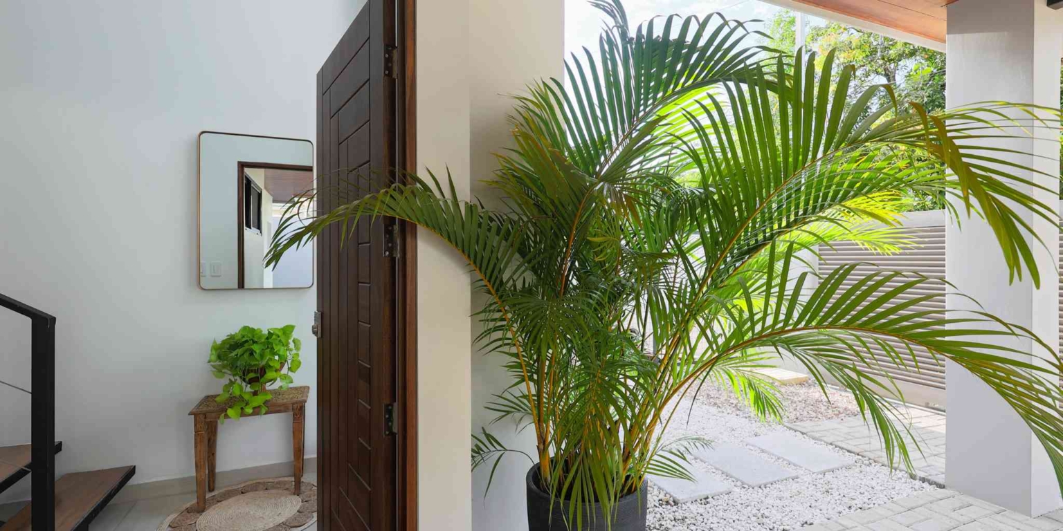 Brand New 4-Bedroom Luxury Home 300 Meter Walk-to-Beach Location 300 Meters from Whale’s Tail Beach in Bahia near Uvita Costa Rica