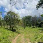Investors’ Dream Opportunity with a Large 22 Acre Property Ready for Subdivision or More in Ojochal Costa Rica