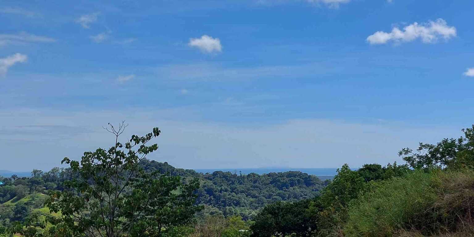 20230409_135701 Contemporary Ocean-View 2-Bedroom Home with Ocean Views of Isla Cano in Gated Community in Chontales near Ojochal Costa Rica