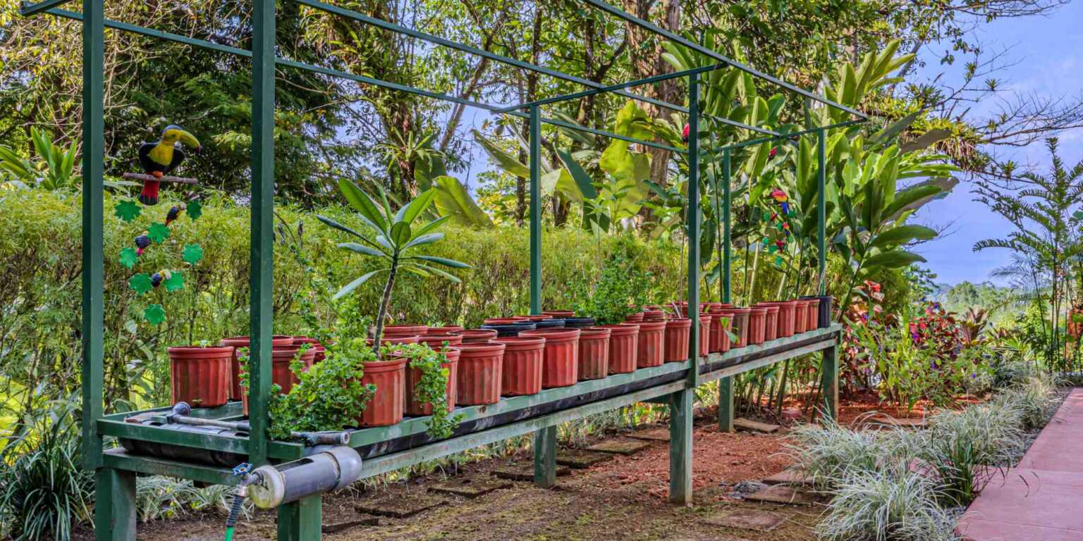 Mediterranean-Style 3-Bedroom Home with Pool & 2+ Acres of Land in Uvita Costa Rica