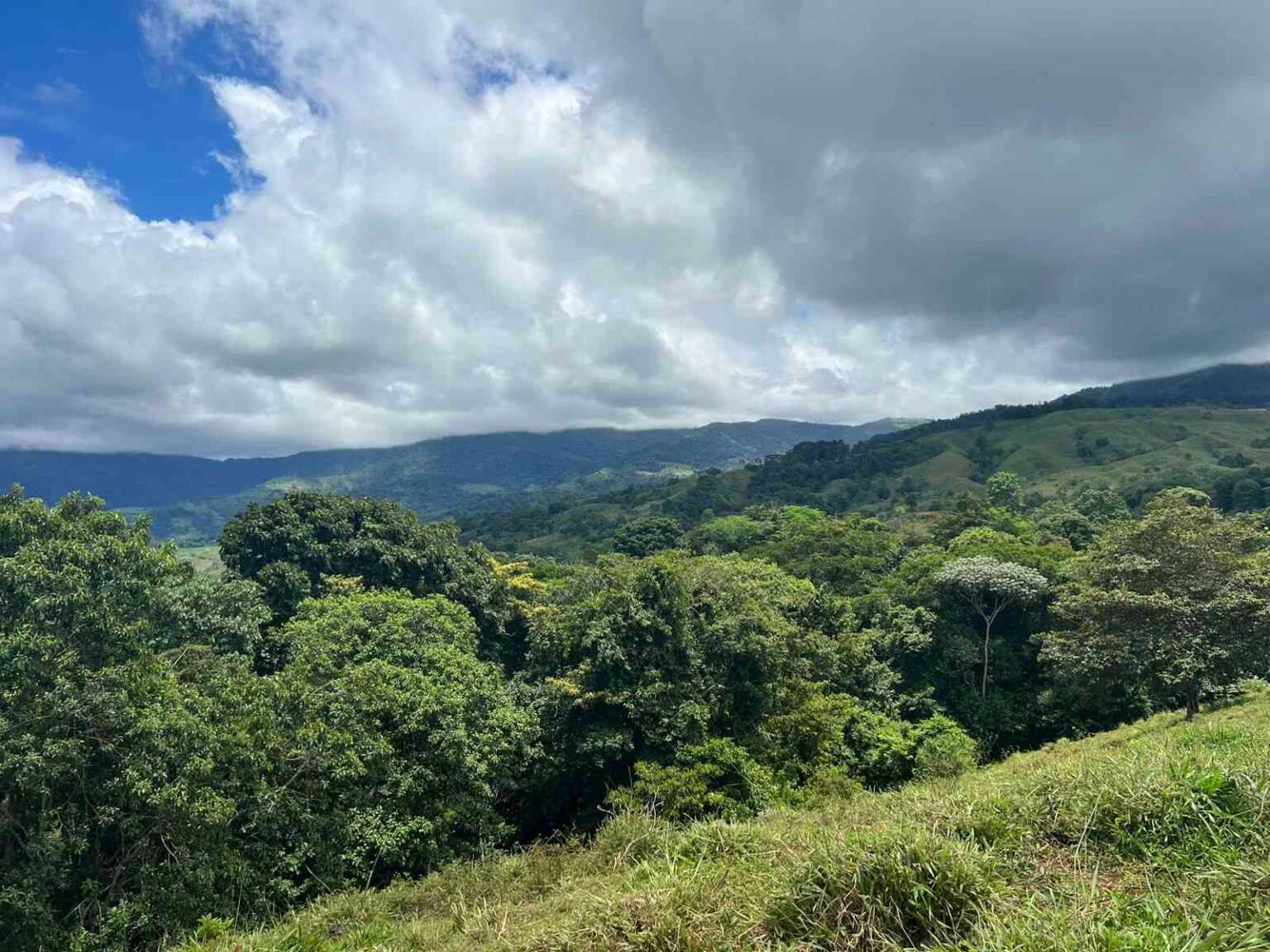 WhatsApp Image 2023-09-19 at 4.19.05 PM Beautiful 47-Acre Mountain View Farm with Many Water Sources & Many Building Areas in Platanillo Costa Rica
