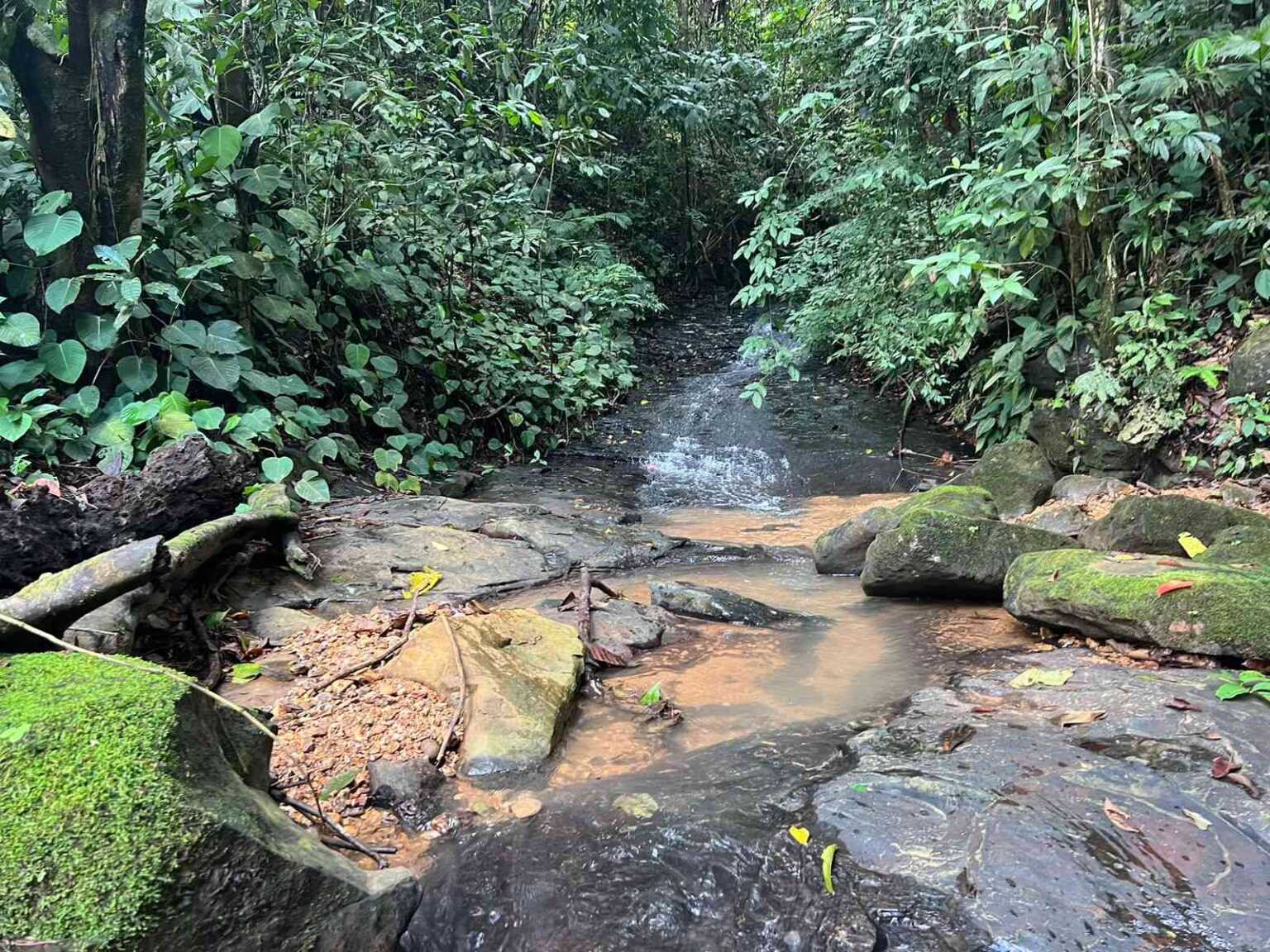 WhatsApp Image 2023-09-19 at 4.19.11 PM Beautiful 47-Acre Mountain View Farm with Many Water Sources & Many Building Areas in Platanillo Costa Rica