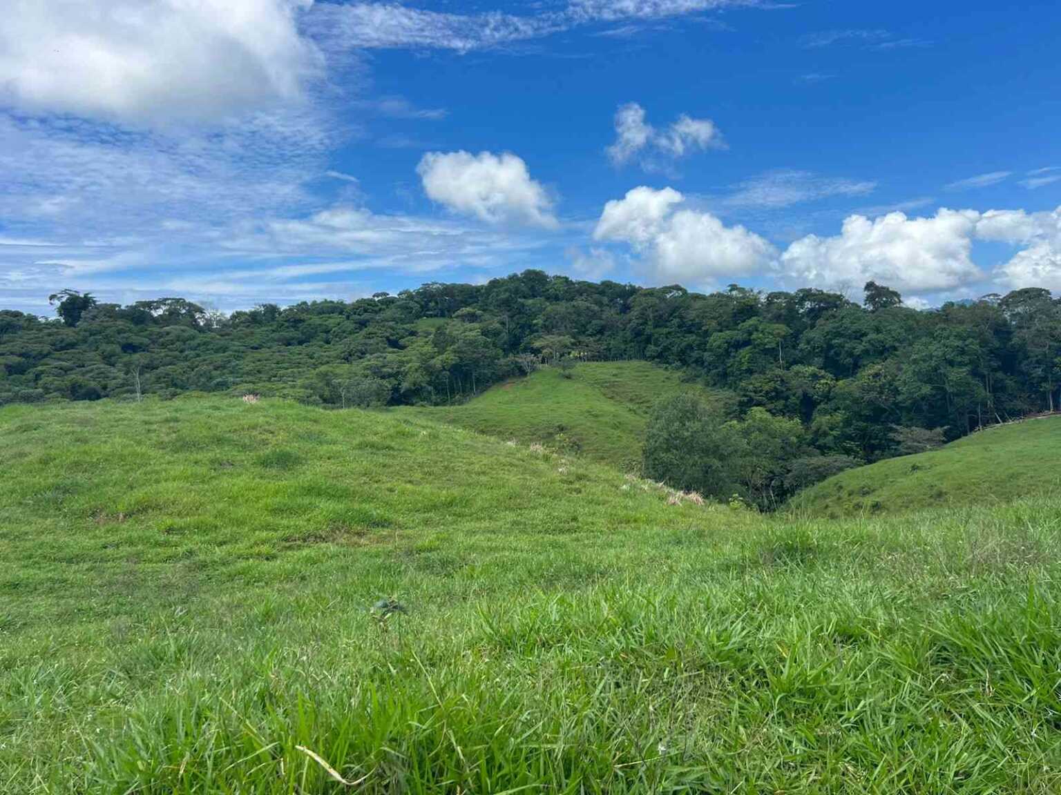WhatsApp Image 2023-09-19 at 4.19.22 PM (1) Beautiful 47-Acre Mountain View Farm with Many Water Sources & Many Building Areas in Platanillo Costa Rica