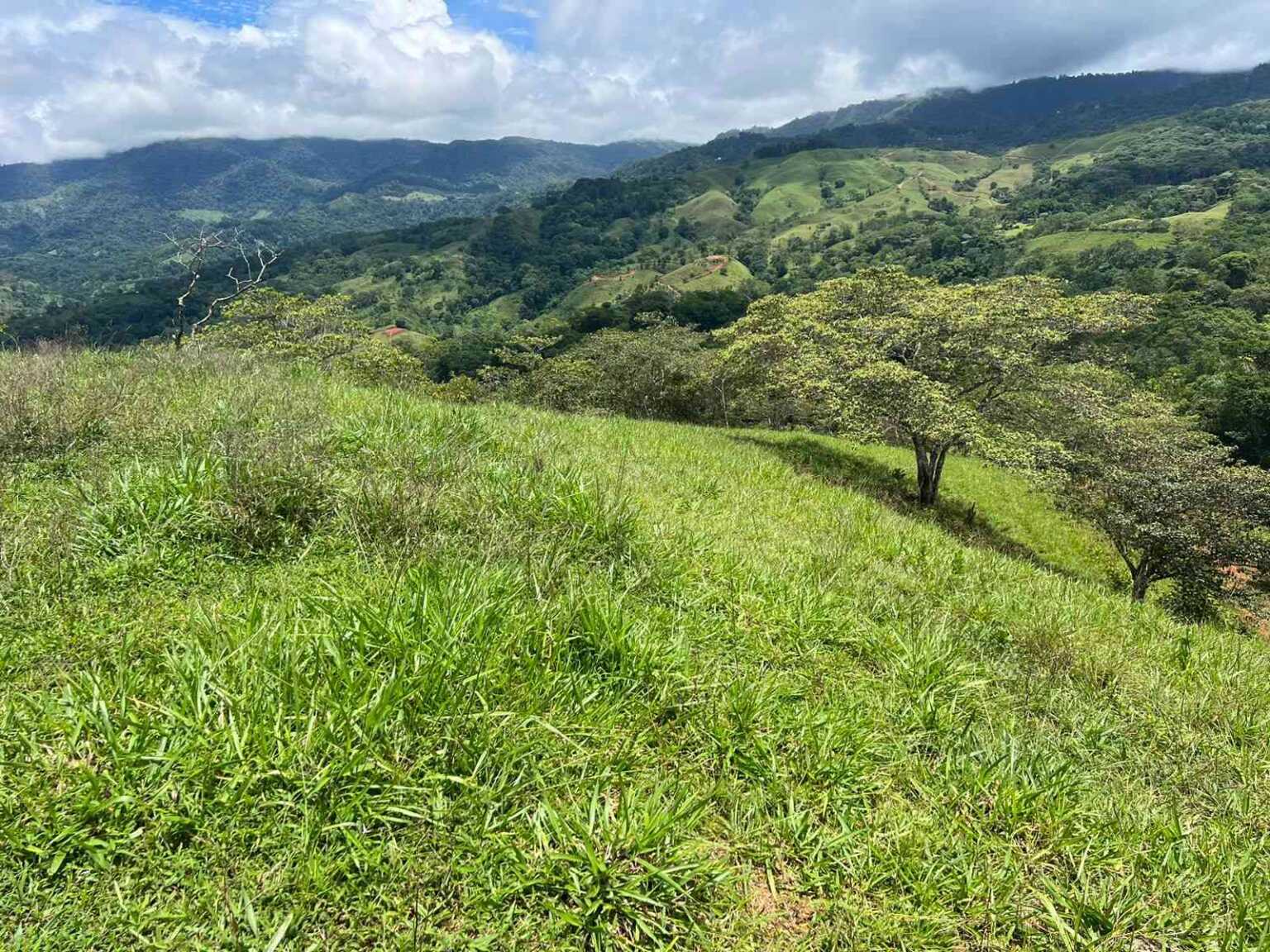 WhatsApp Image 2023-09-19 at 4.19.23 PM (2) Beautiful 47-Acre Mountain View Farm with Many Water Sources & Many Building Areas in Platanillo Costa Rica