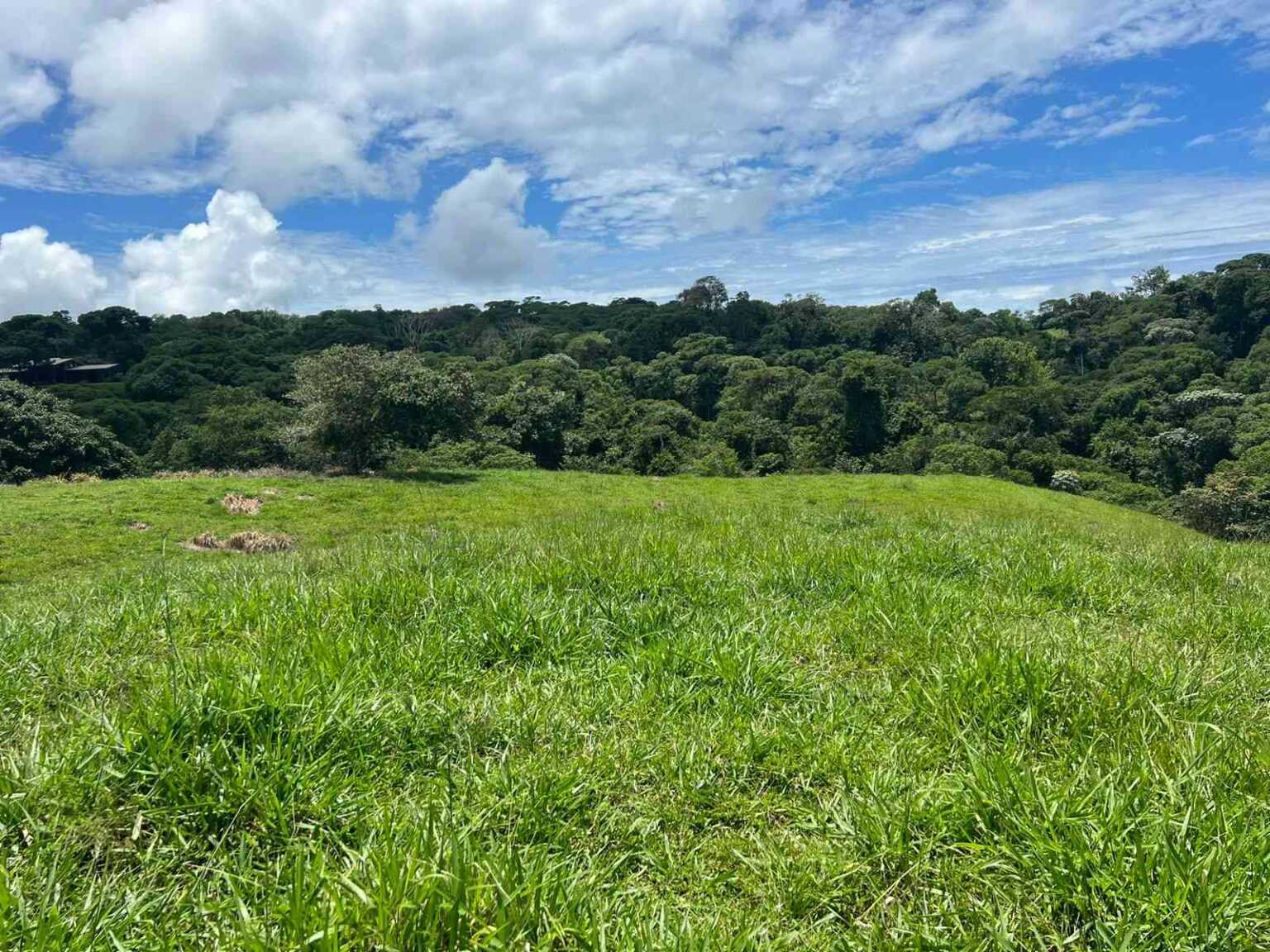 WhatsApp Image 2023-09-19 at 4.19.23 PM (3) Beautiful 47-Acre Mountain View Farm with Many Water Sources & Many Building Areas in Platanillo Costa Rica