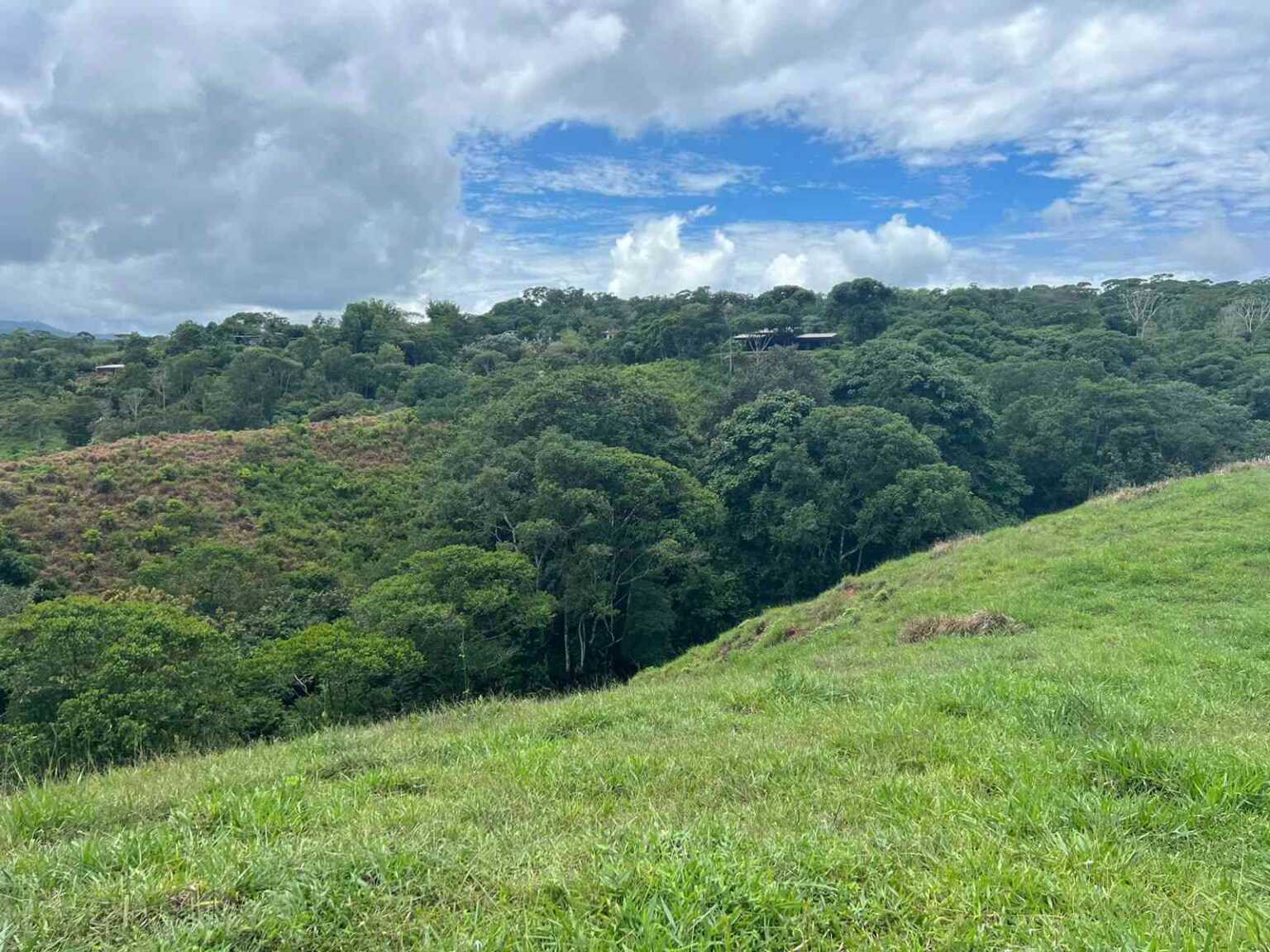 WhatsApp Image 2023-09-19 at 4.19.23 PM Beautiful 47-Acre Mountain View Farm with Many Water Sources & Many Building Areas in Platanillo Costa Rica