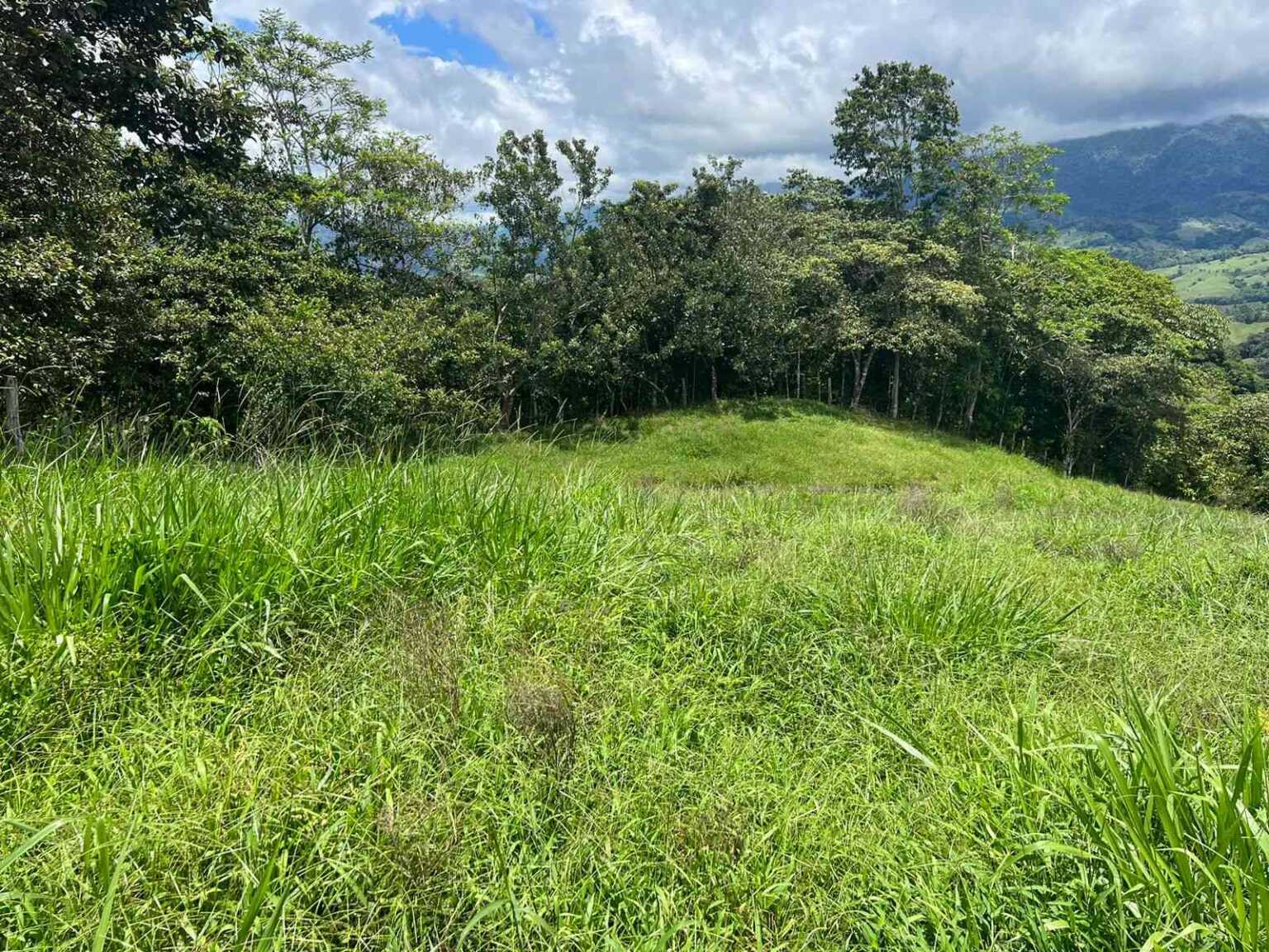 WhatsApp Image 2023-09-19 at 4.19.24 PM (1) Beautiful 47-Acre Mountain View Farm with Many Water Sources & Many Building Areas in Platanillo Costa Rica