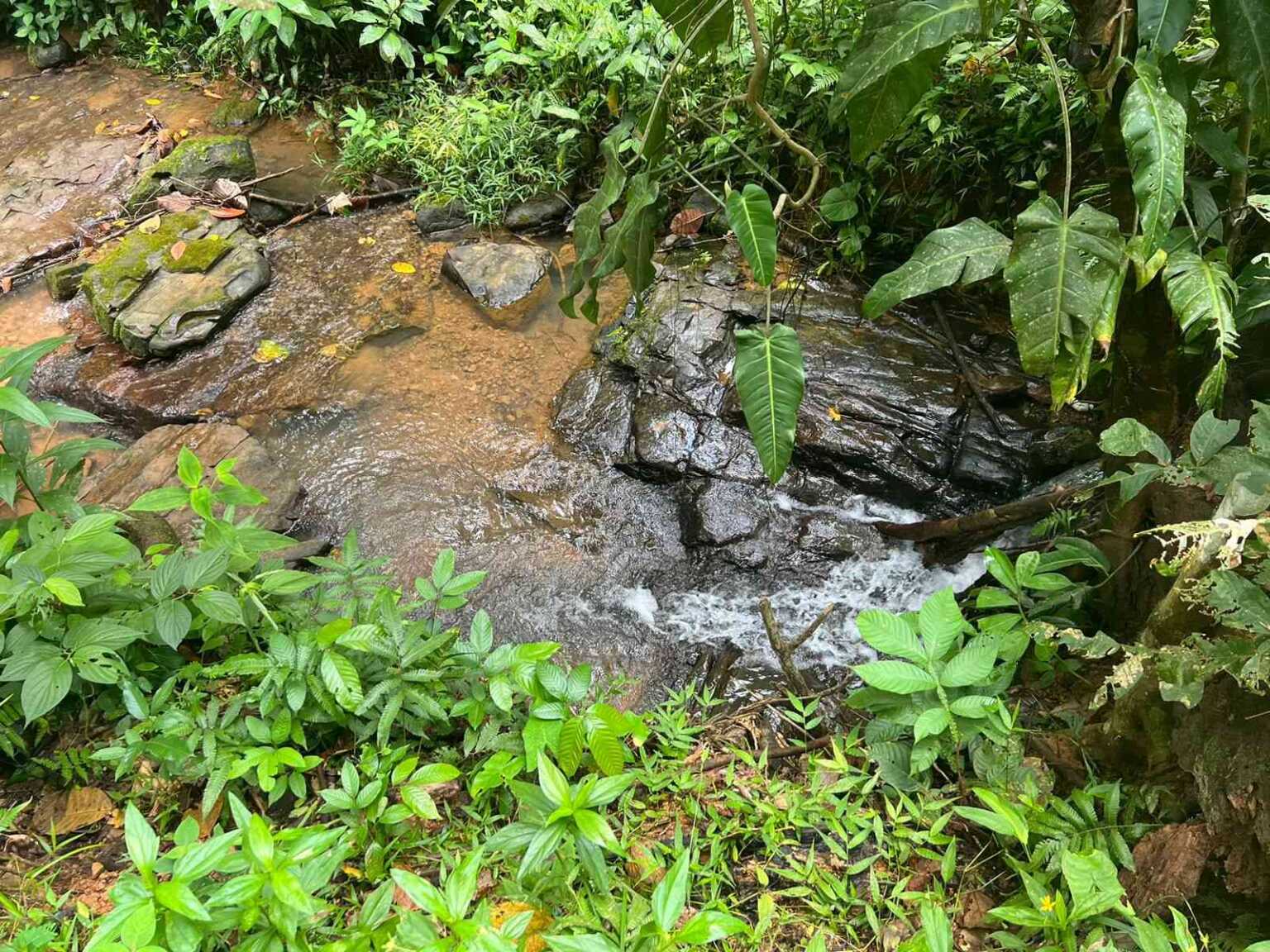 WhatsApp Image 2023-09-19 at 4.18.44 PM Beautiful 47-Acre Mountain View Farm with Many Water Sources & Many Building Areas in Platanillo Costa Rica